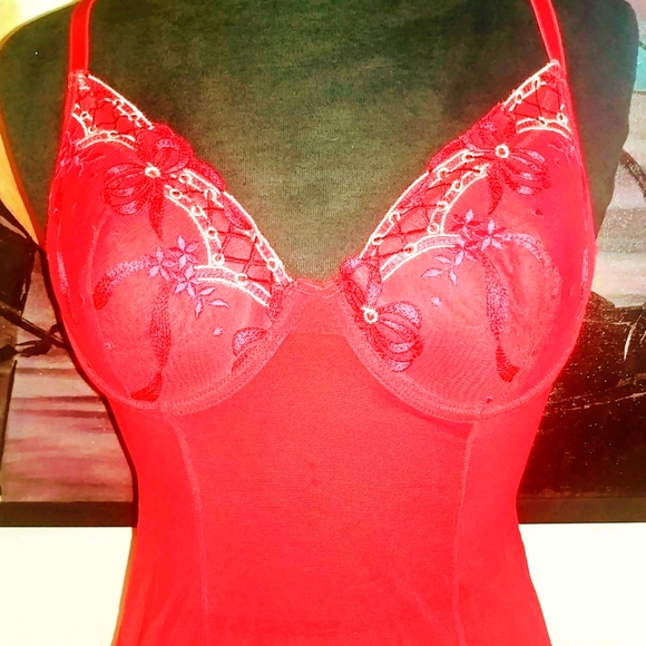 Teddy - Picture 6 of 6